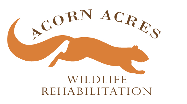 Acorn Acres RGB